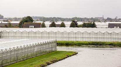 Tuinbouwsector Zuid-Nederland wil handen ineenslaan voor betere toekomst